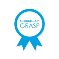 Certificaciones_0003_Grasp